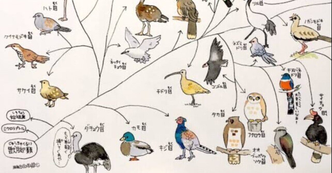謎の木造鳥 謎の木造鳥 美術品・アンティーク・コレクション
