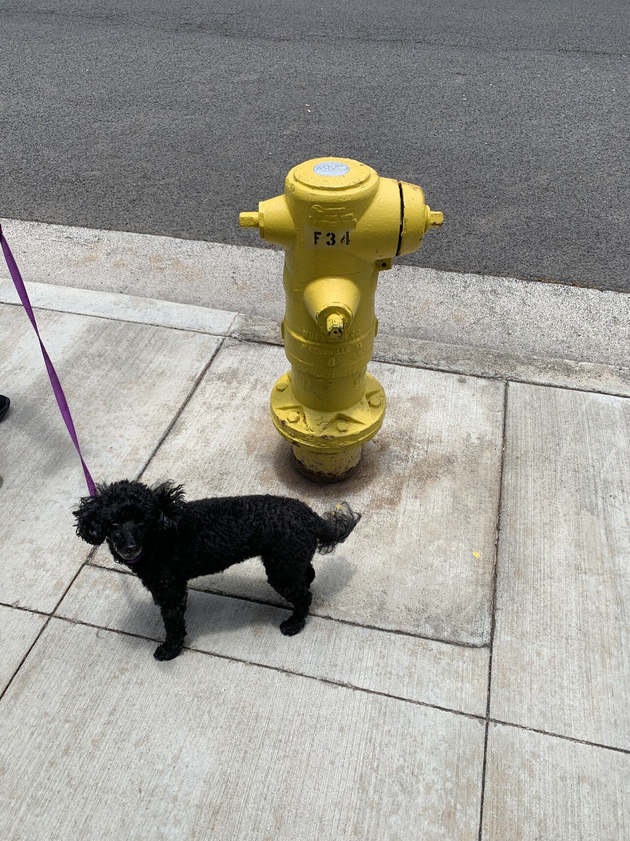 影が消えてなくなる ラハイナ ヌーン みずあさぎ ハワイ不動産 Note