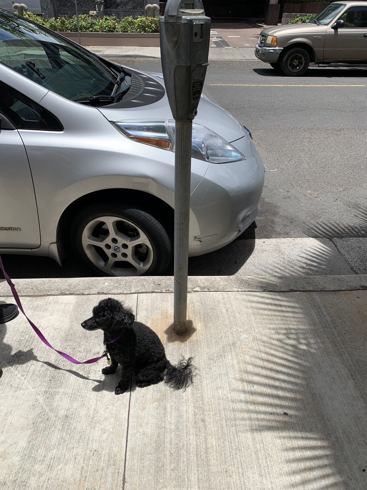 影が消えてなくなる ラハイナ ヌーン みずあさぎ ハワイ不動産 Note