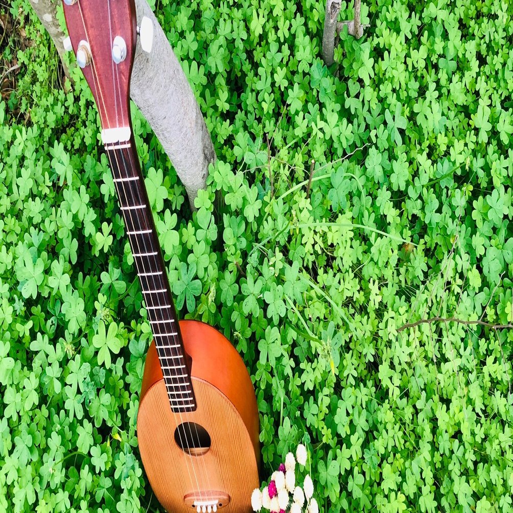 世界一簡単に弾ける楽器「一五一会」とは｜ぷちこ