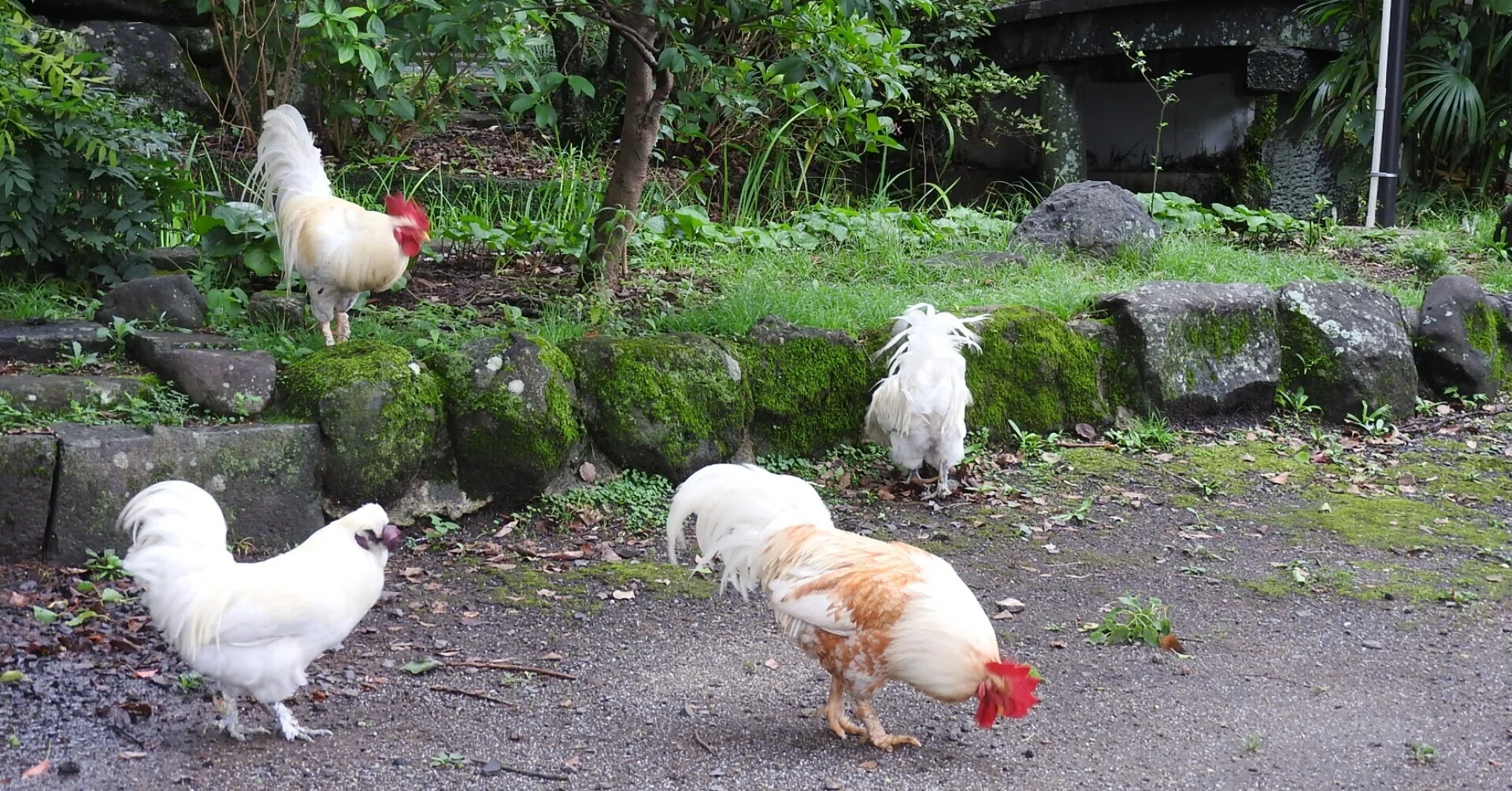 見どころ多彩な松森天満宮｜株式会社みろく屋