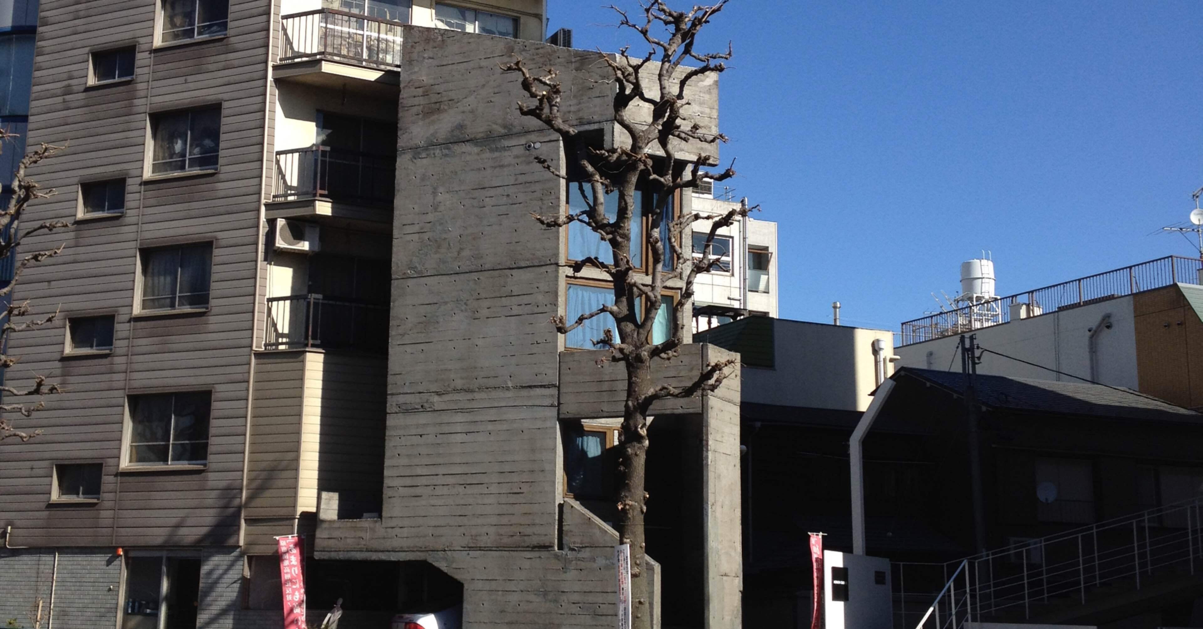 small design】塔の家｜東孝光｜small design