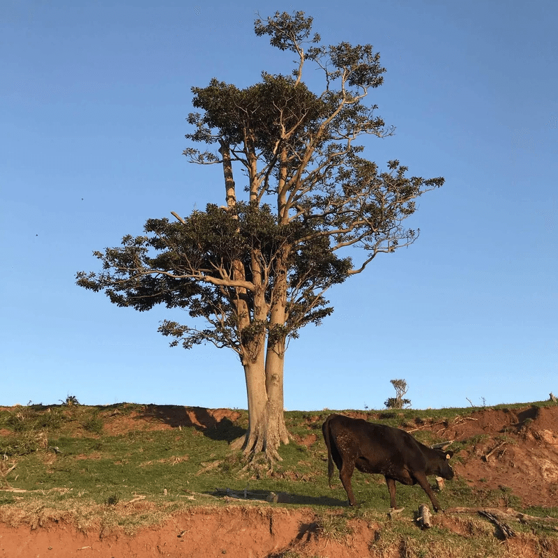 画像20