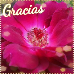 グアバ の新着タグ記事一覧 Note つくる つながる とどける グアバ の新着タグ記事一覧 Note つくる つながる とどける