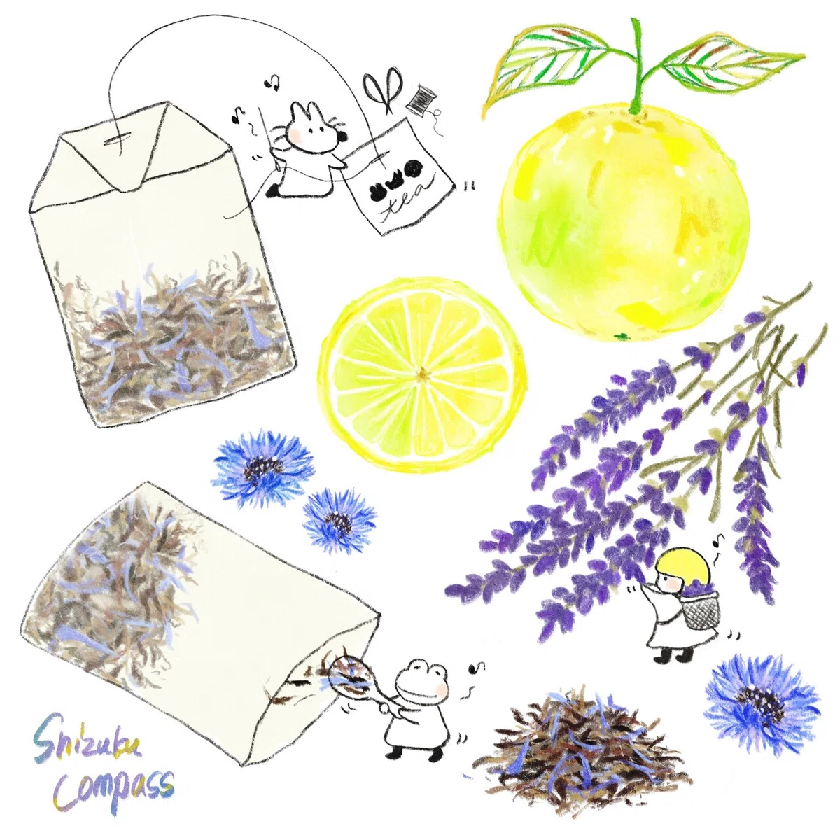 画像1