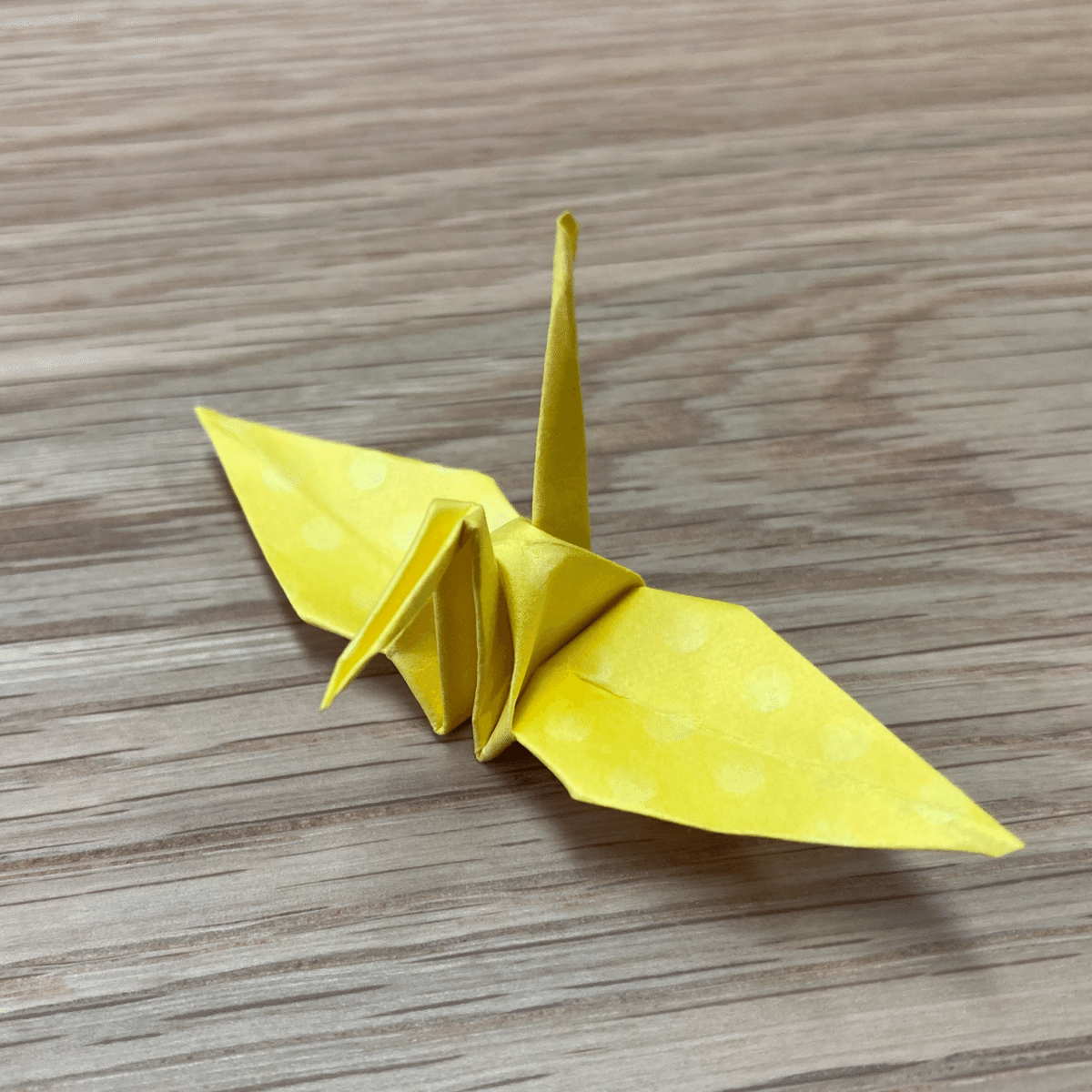 千羽鶴 (イエロー） 千羽鶴への道】4週間目。｜札幌の紙箱メーカー・モリタ株式会社