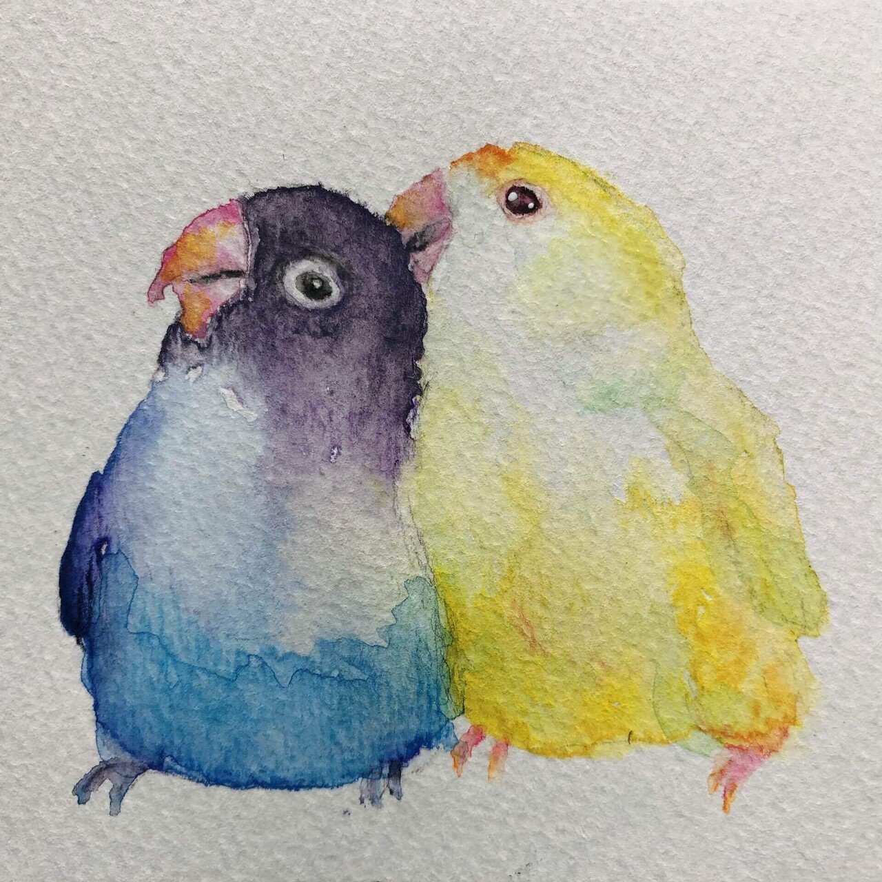 やっとアイコンに絵を入れました｜PitchPotch（ぴちぽち）