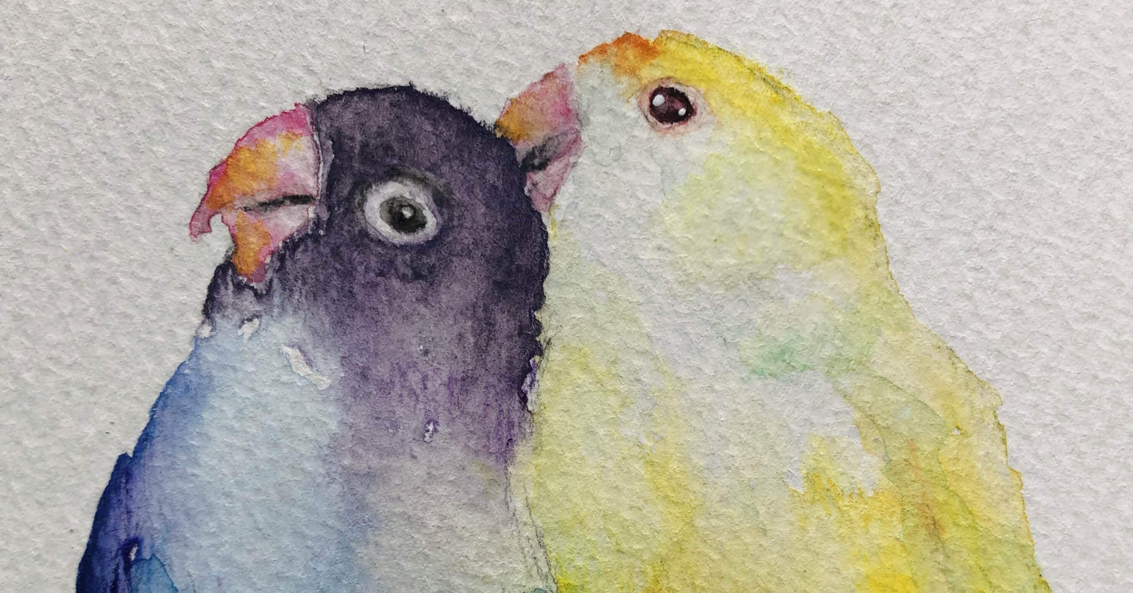 水彩画　鳥　「密林の宝石」　〜溢れる生命力〜 水彩画 鳥 「密林の宝石」 〜溢れる生命力〜 水彩画 鳥 「密林の宝石