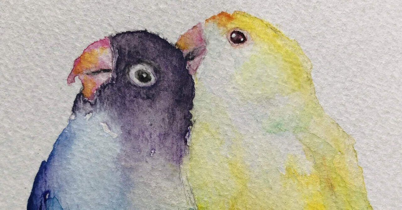 やっとアイコンに絵を入れました｜PitchPotch（ぴちぽち）