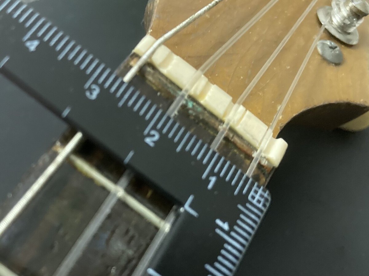 ウクレレに転生したマンドリン｜📕電脳歯医者の報告書📕