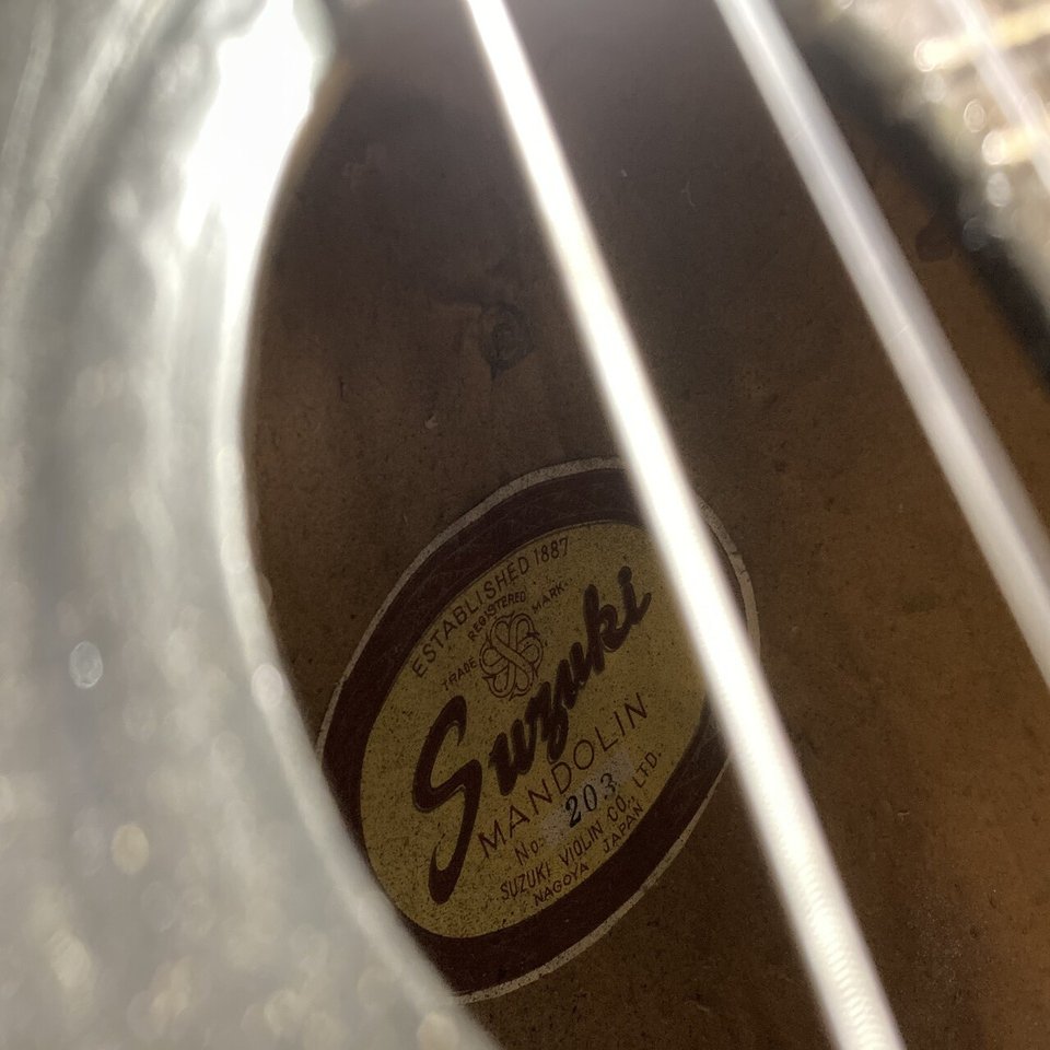 ウクレレに転生したマンドリン｜📕電脳歯医者の報告書📕