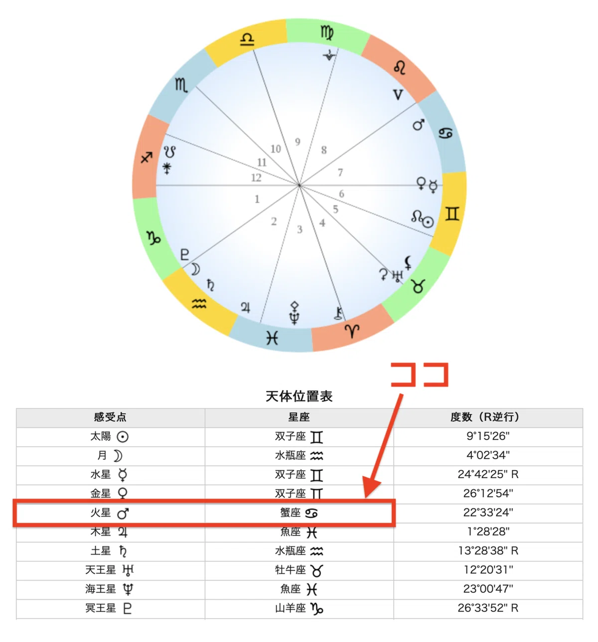 画像5
