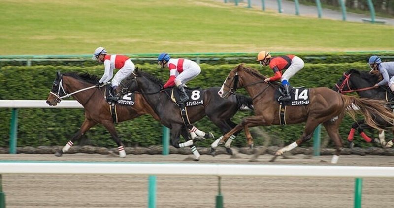 5月29日 土 中央競馬全レース まぽ指数 やまぐちまぽ Note 5月29日 土 中央競馬全レース まぽ指数 やまぐちまぽ Note