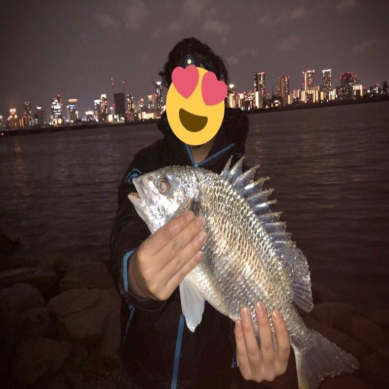 下手くそが大阪市内でシーバスを釣りに行ってみたらこうなる 大阪下手くそシーバス日記 Note