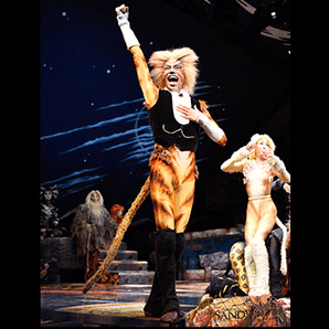 キャッツ CATS スキンブルシャンクス ミストフェリーズ