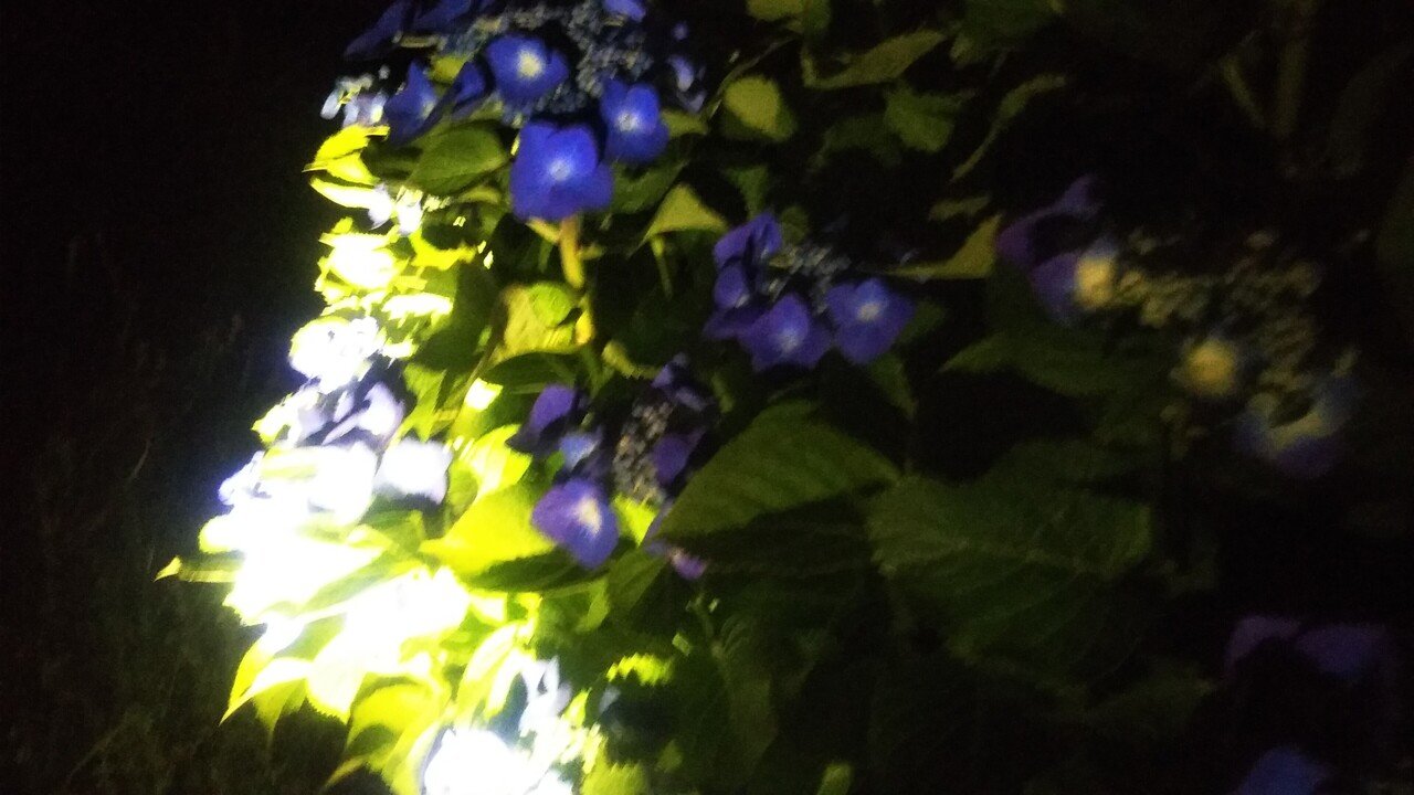 おはようございます 昨日は 何時もより惚けてたww 今日は ちゃんとしてるからww 届け僕の声 届け僕の声 これはグリンゴの歌の ワンフレーズ 昨日も今朝も何回も聴いて 上向きな気持ち のらねこ Note おはようございます 昨日は 何時もより惚けてたww 今日は ちゃんとしてるからww 届け僕の声 届け僕の声 これはグリンゴの歌の ワンフレーズ 昨日も今朝も何回も聴いて 上向きな気持ち のらねこ Note