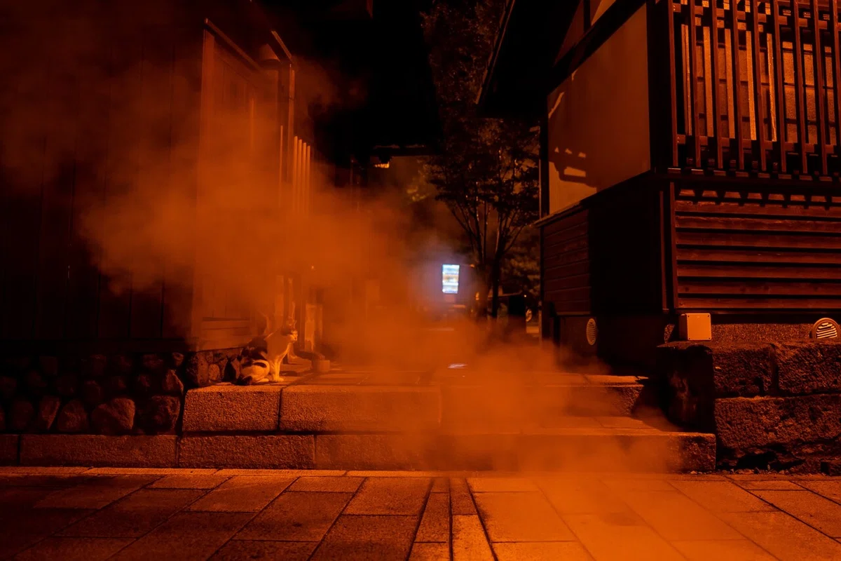 画像9