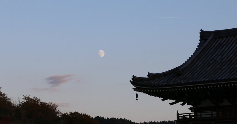 青葉木菟去って神社のちんもくよ