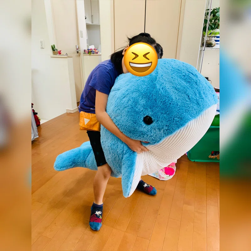 コストコの新メニュー Soratan Note