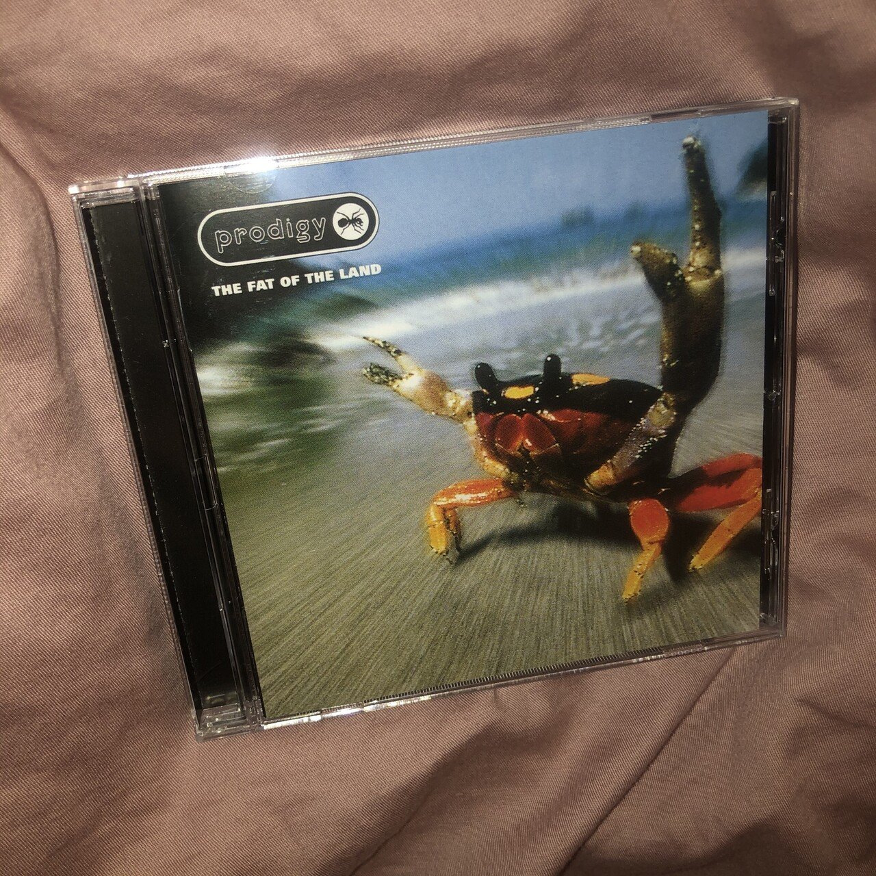 The Prodigy の『The Fat of the Land』を聴いてみた編｜内山 結愛