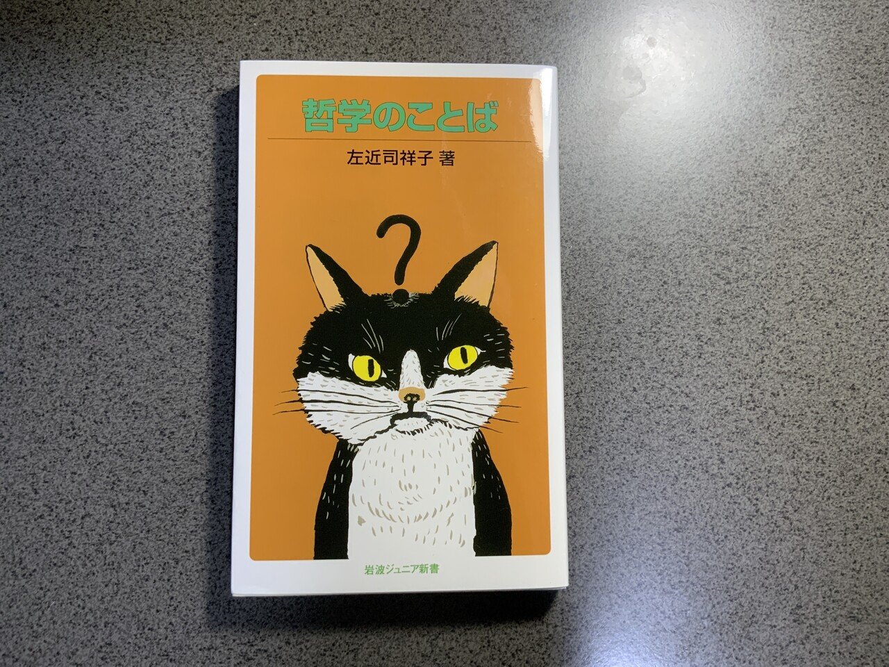 読書感想譚16 哲学のことば Type N Naturally Note