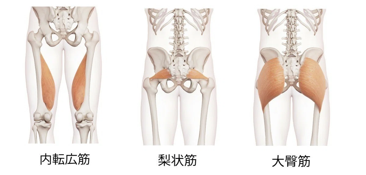 体育でより深く前屈をするために 久野 歩 Note 体育でより深く前屈をするために 久野 歩 Note