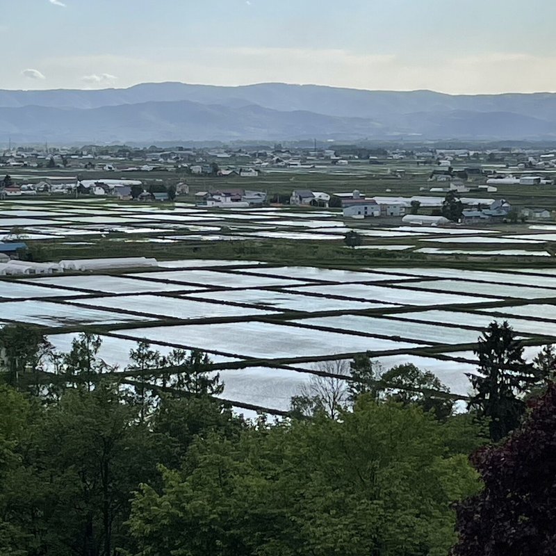 実は北海道らしくない 東川町の風景 倉貫眞一郎 東川町のコヨミ舎店主 Note 実は北海道らしくない 東川町の風景 倉貫眞一郎 東川町のコヨミ舎店主 Note