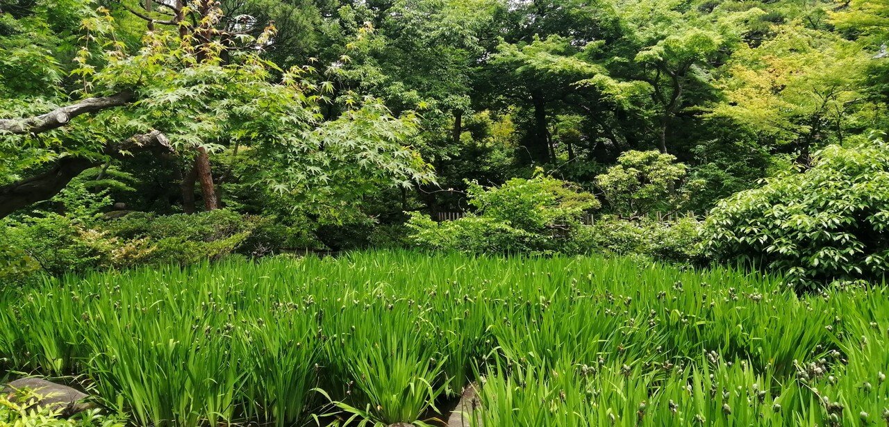 ある本が茶道の「茶碗」を人気にした🍵それは『大正名器鑑 』📚 高橋 