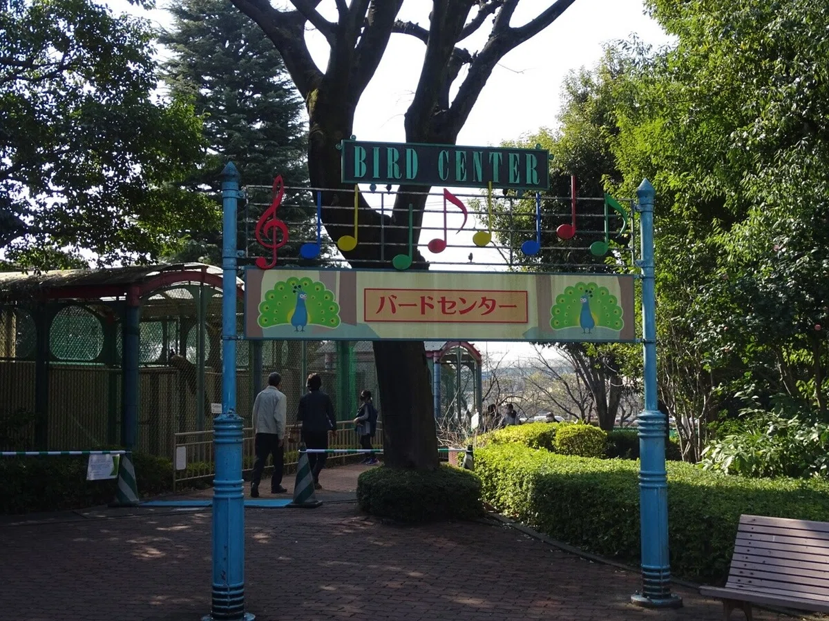 画像13