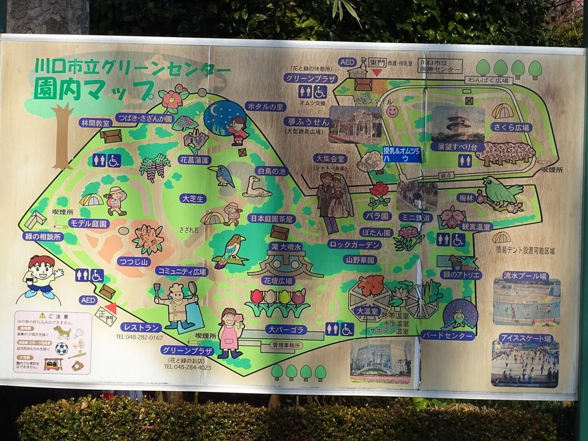 画像14