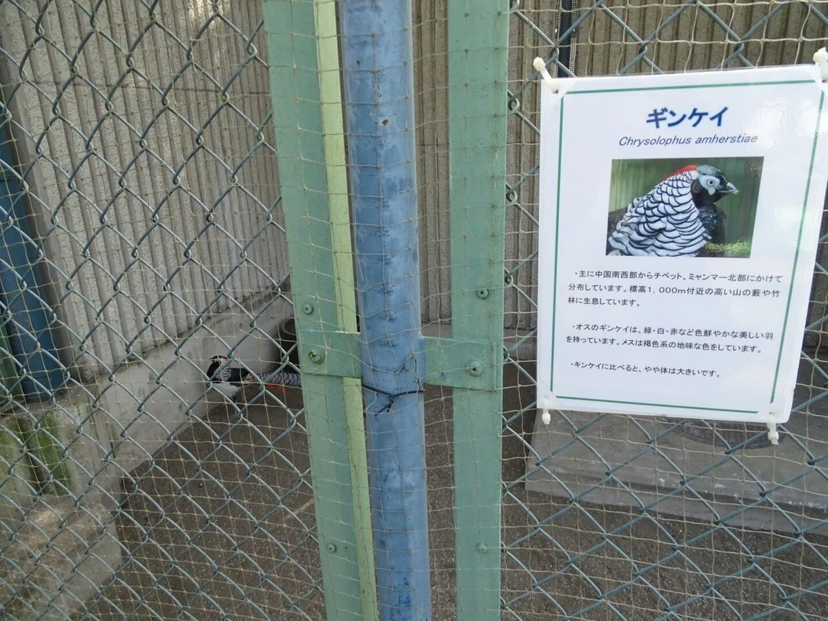 画像19