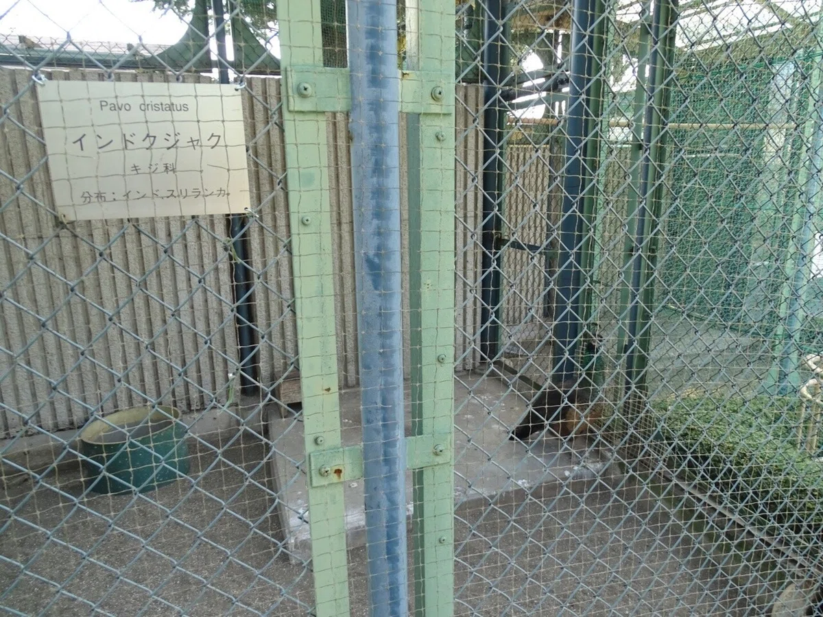 画像18