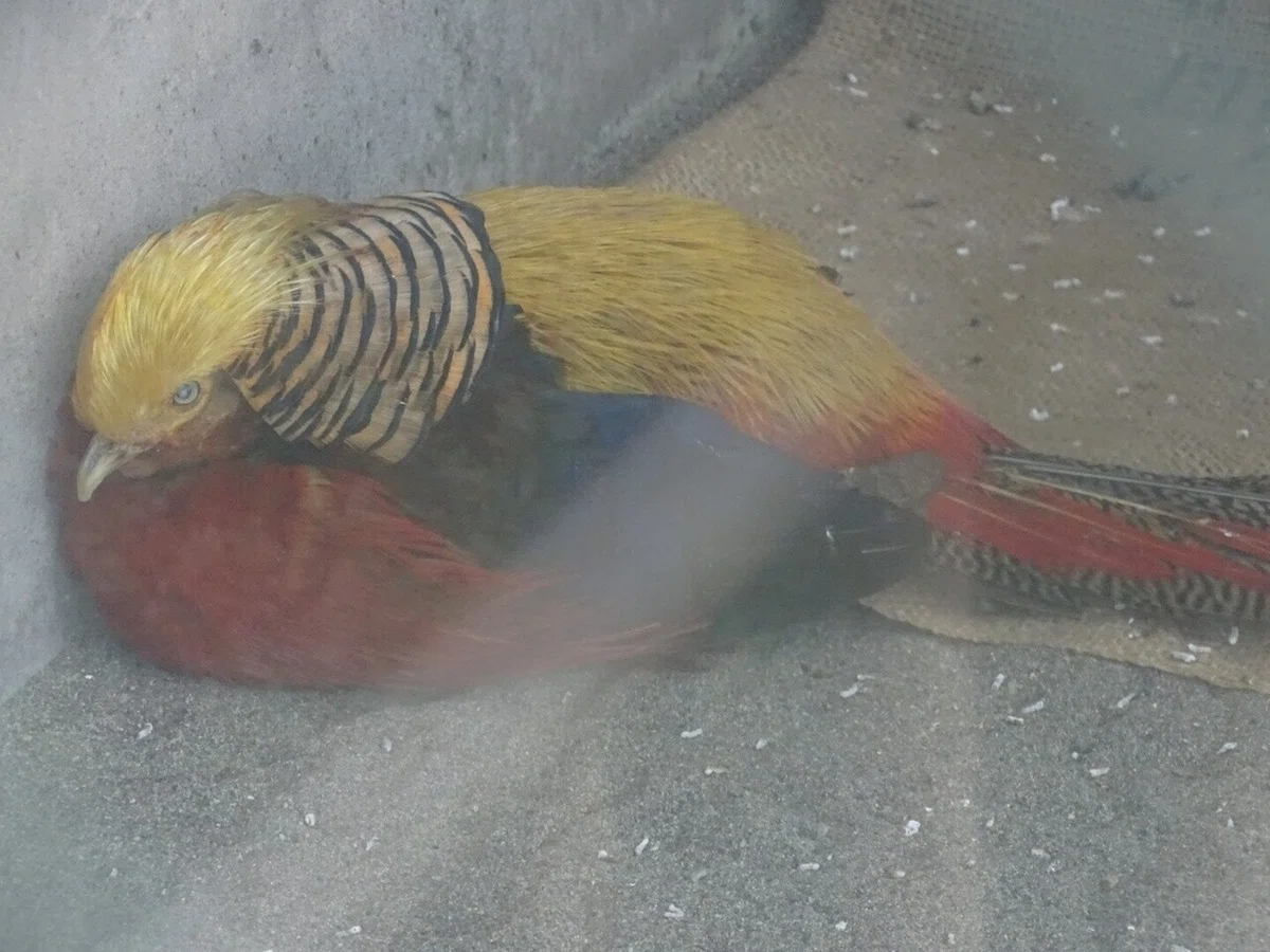 画像22