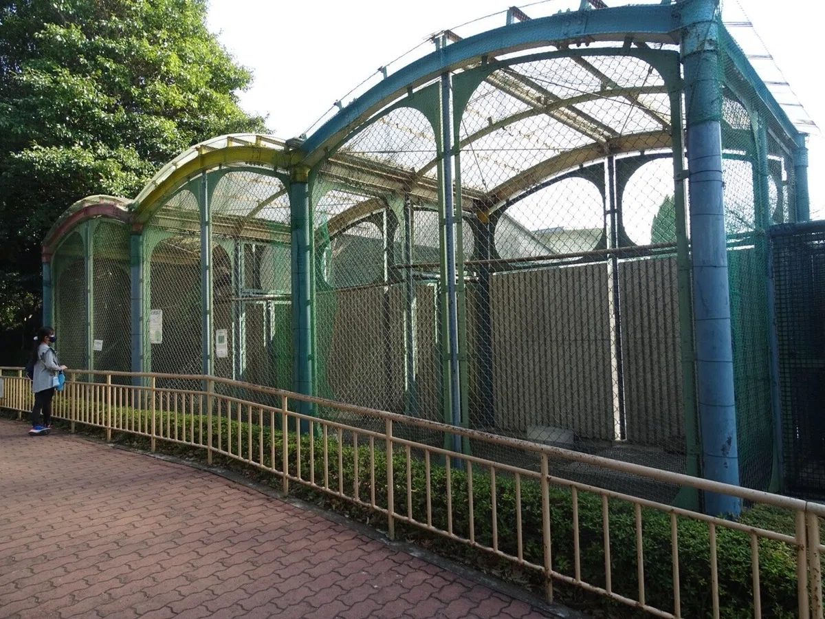 画像24
