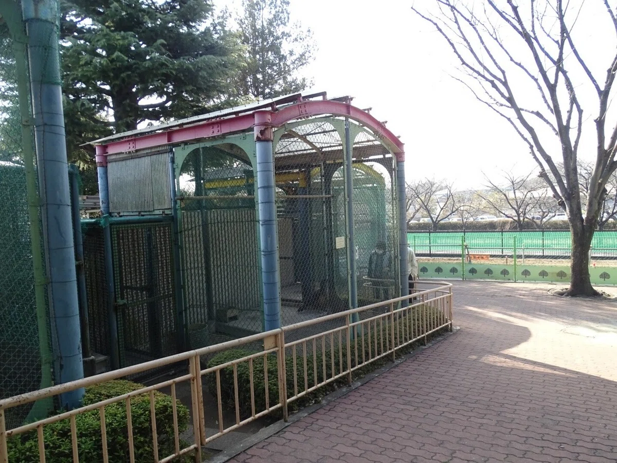 画像25