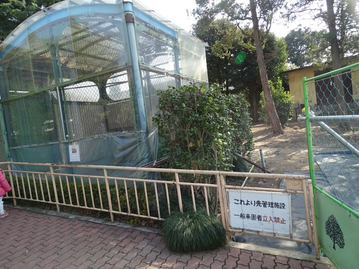 画像27