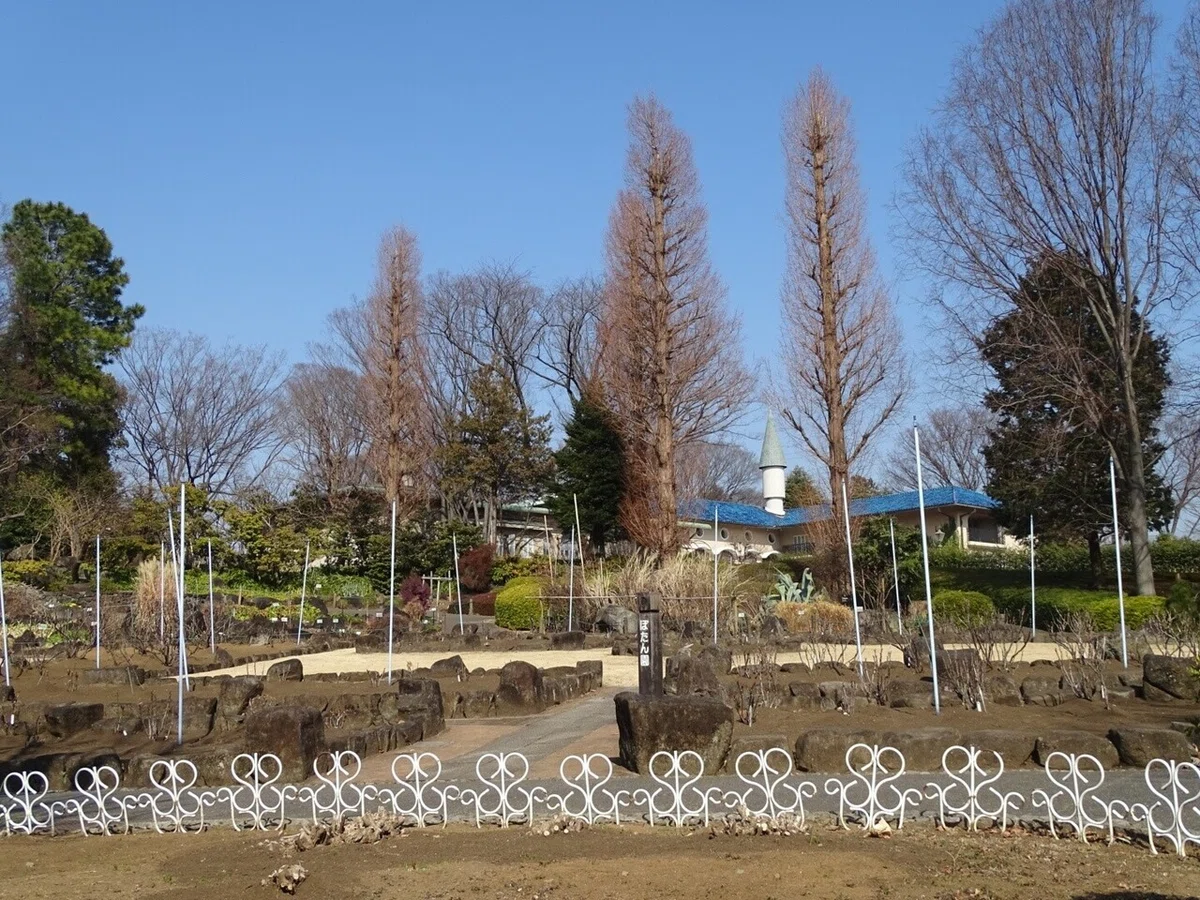 画像29
