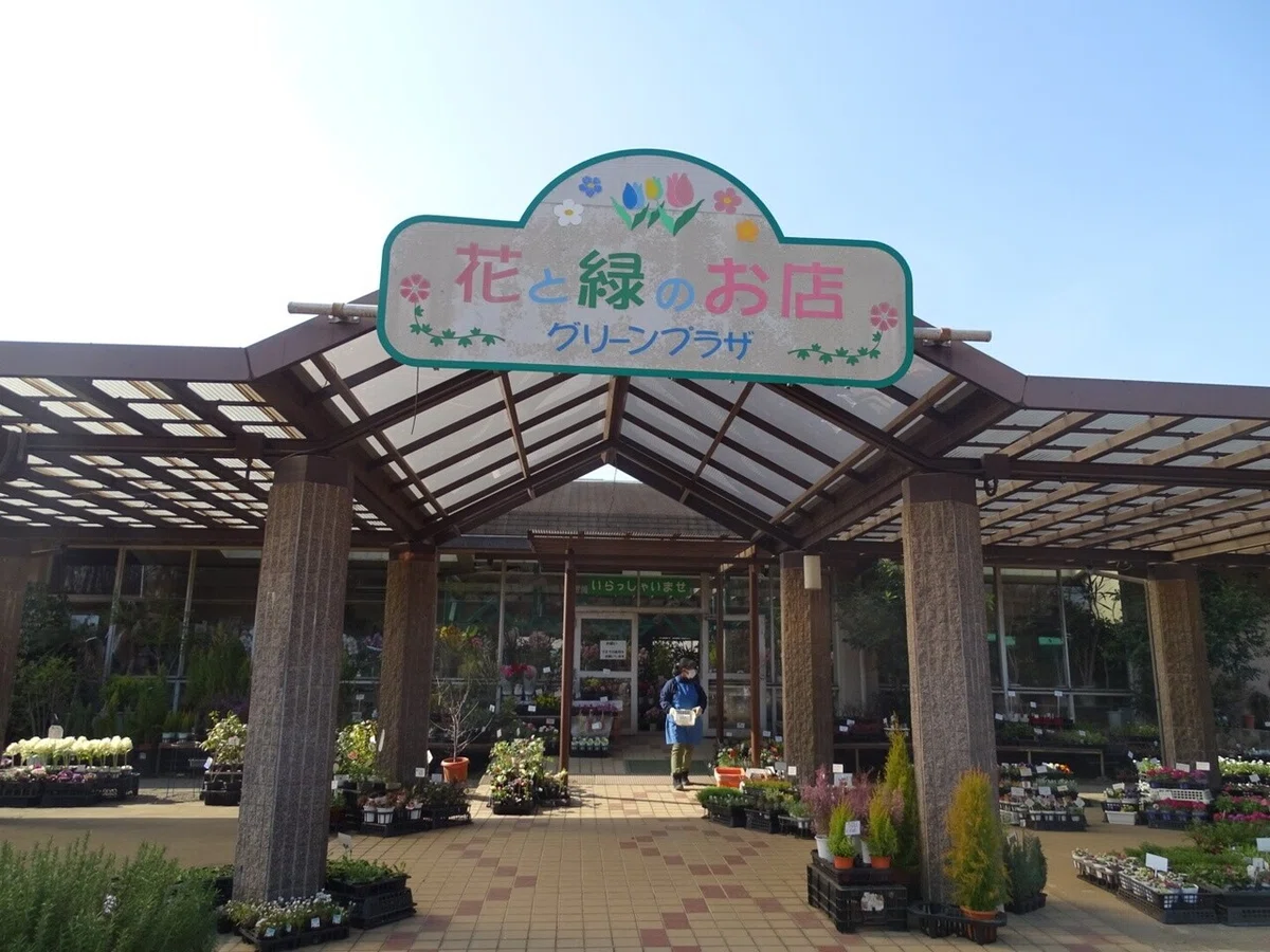 画像37