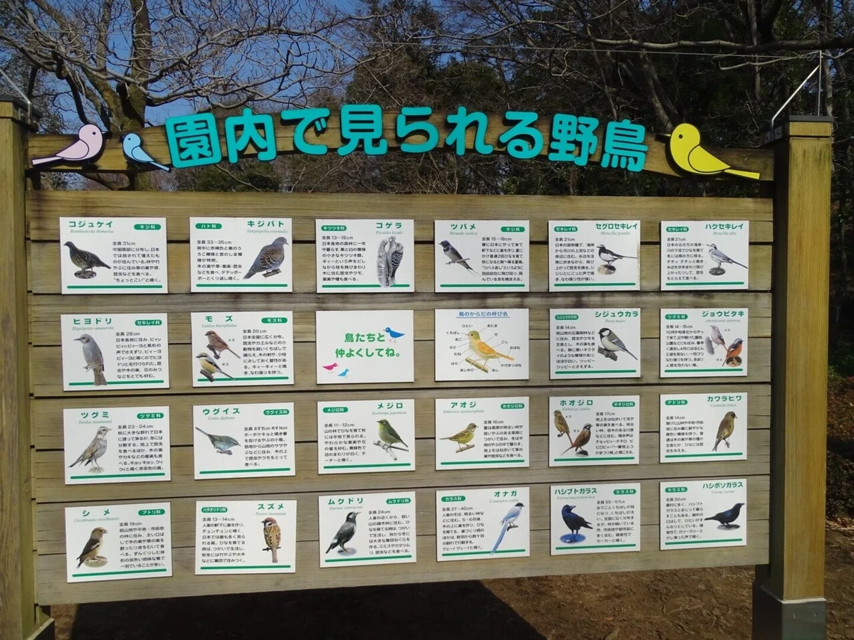 画像39