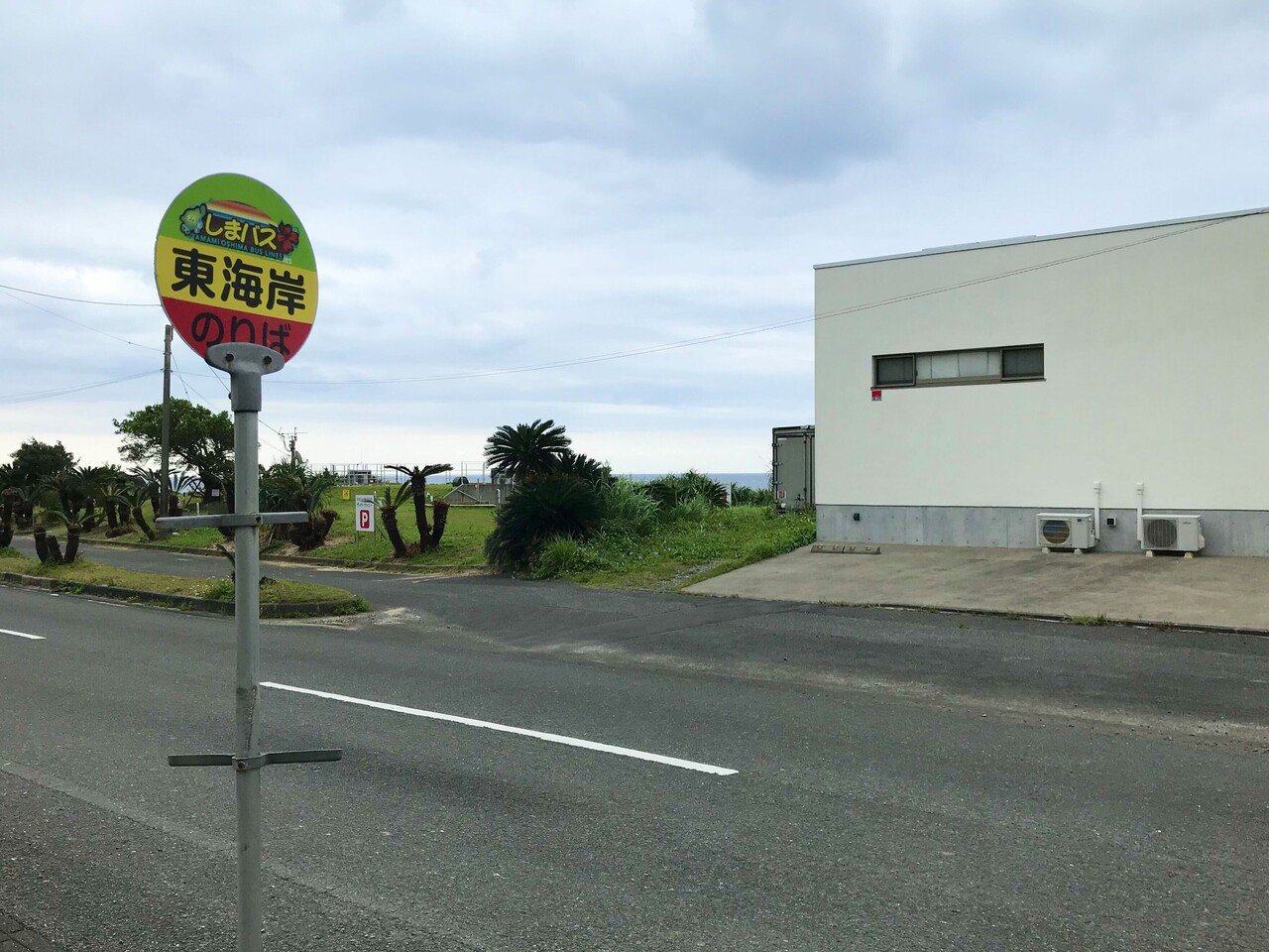 車なし女の鹿児島 奄美大島ひとり旅 ２泊３日 Ayumi Note