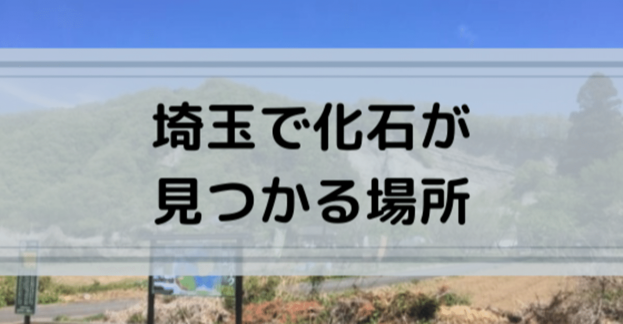 埼玉県でほぼ確実に化石が見つかる場所 秩父 ようばけ あざらし情報局 Note 埼玉県でほぼ確実に化石が見つかる場所 秩父 ようばけ あざらし情報局 Note