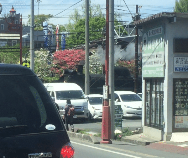 埼玉県でほぼ確実に化石が見つかる場所 秩父 ようばけ 1blog Note 埼玉県でほぼ確実に化石が見つかる場所 秩父 ようばけ 1blog Note