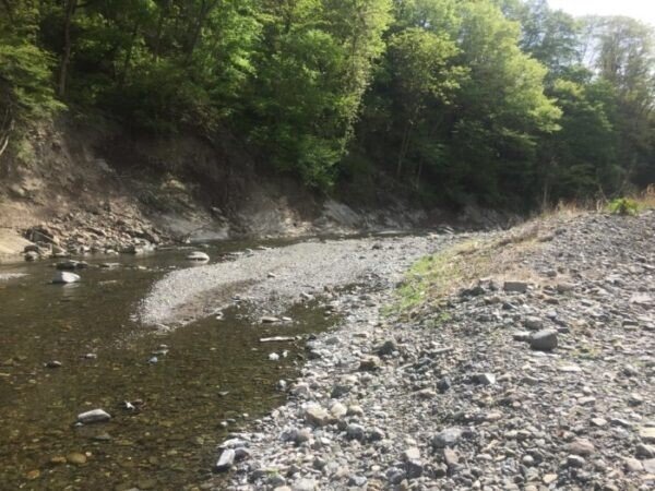 埼玉県でほぼ確実に化石が見つかる場所 秩父 ようばけ 1blog Note