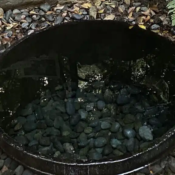天竜川 駒
