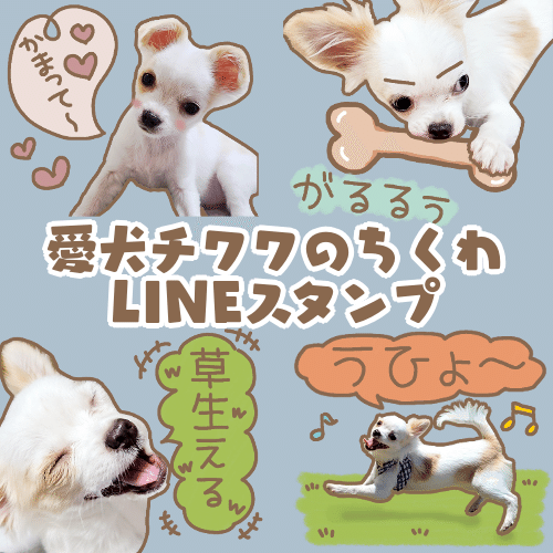 愛犬チワワのちくわ Lineスタンプ もちゃちく Note