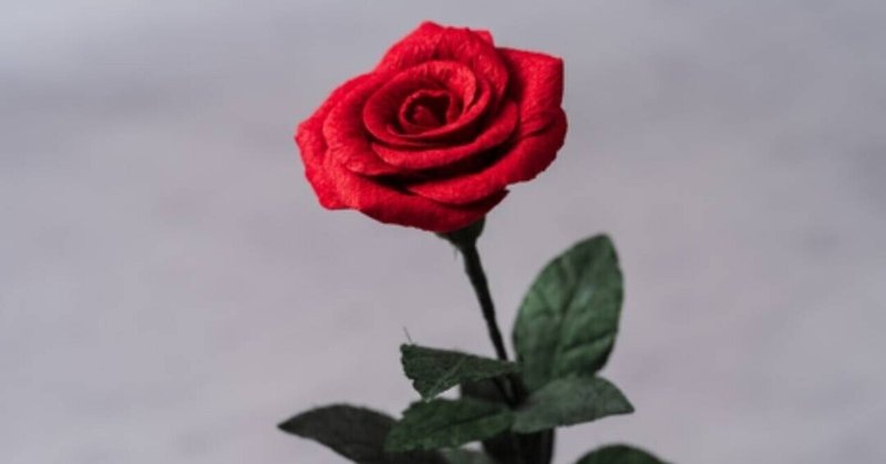 赤い薔薇の花言葉は本数で Marika Note