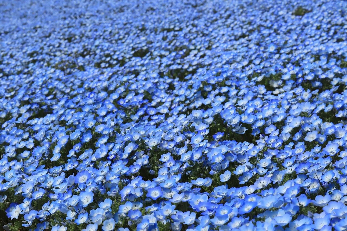 画像38