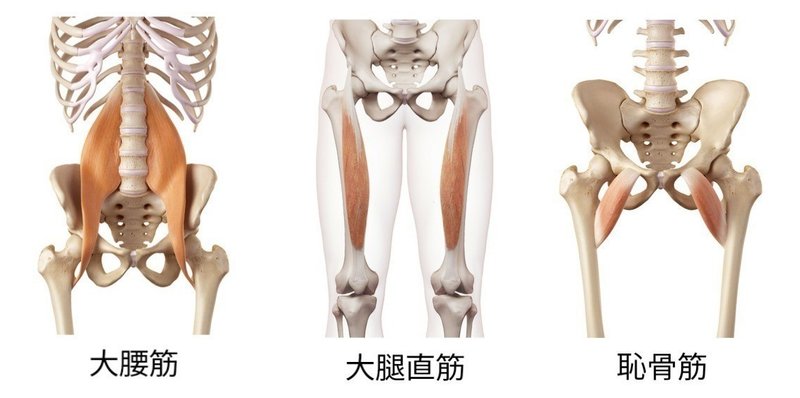 ストレッチなしで膝を使って自分の胸を蹴る方法 久野 歩 Note ストレッチなしで膝を使って自分の胸を蹴る方法 久野 歩 Note