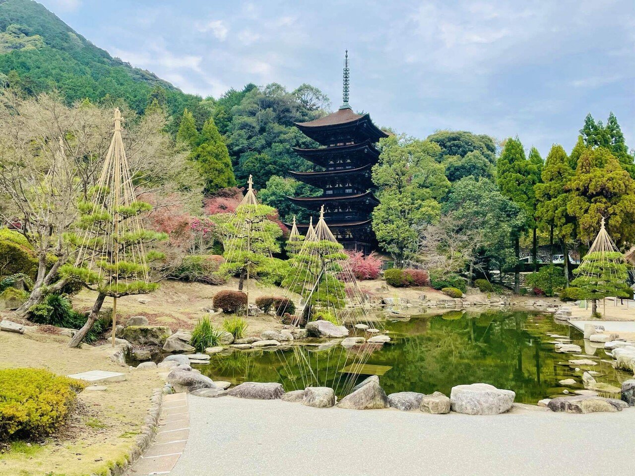 もちもちプルプル弾力がすごい 山口で人気の名産 山口外郎 Eriko Note