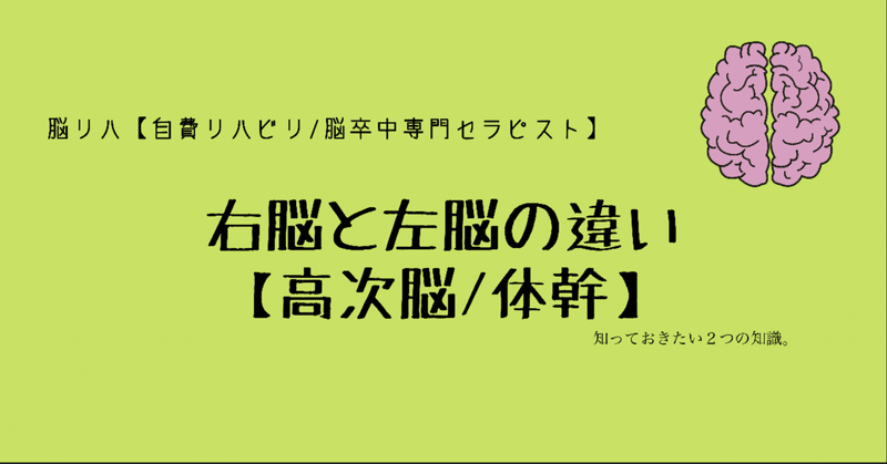 右脳と左脳の違い 高次脳機能 脳リハ 自費リハビリ 脳卒中専門セラピスト Note 右脳と左脳の違い 高次脳機能 脳リハ 自費リハビリ 脳卒中専門セラピスト Note